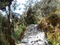 Sur les pas des Incas